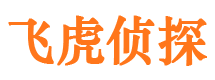 团风市私家侦探公司